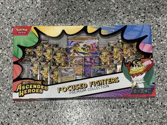 Focus Fighters Ascended Heroes