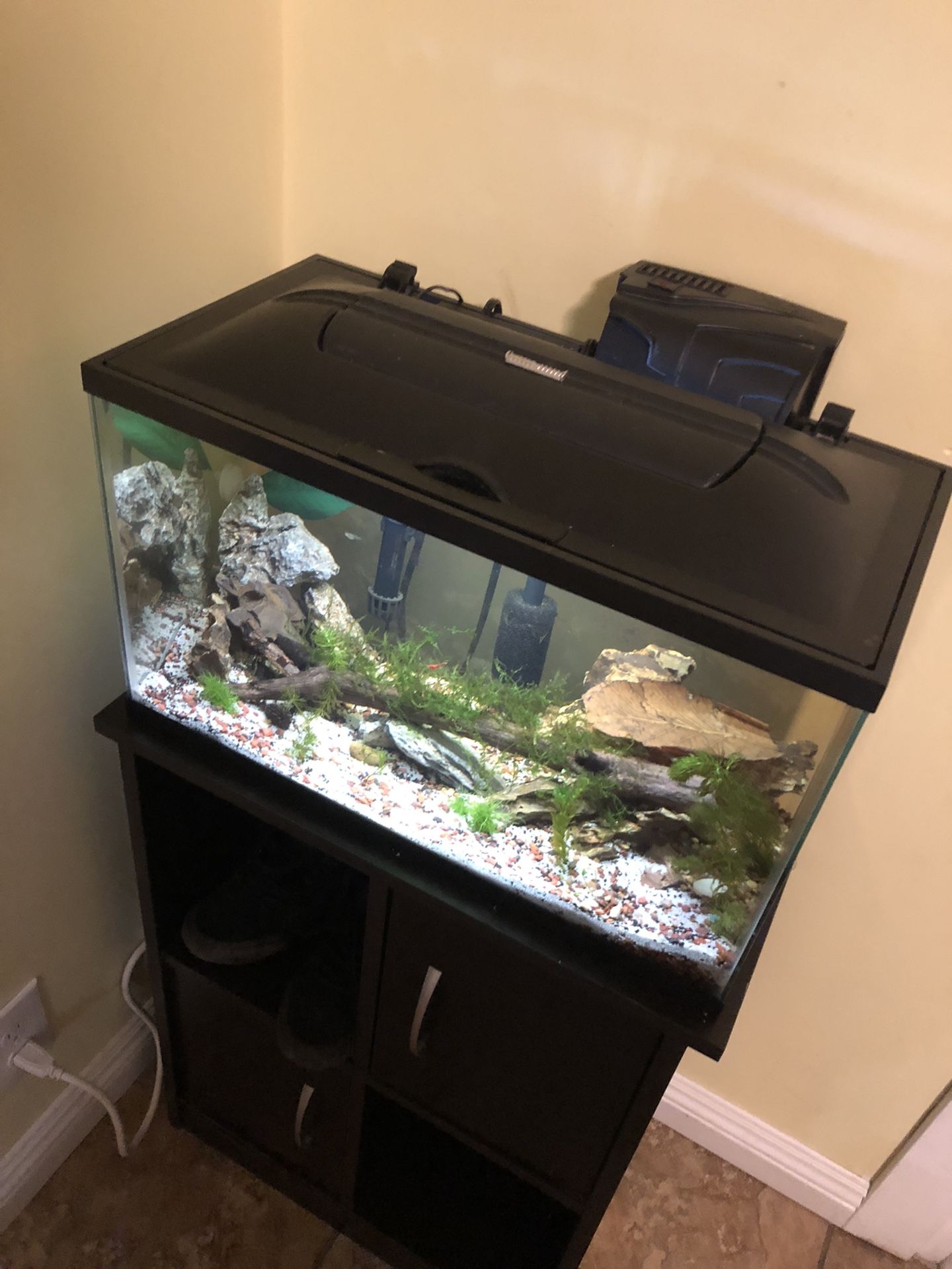 10gal Top Lid With Light