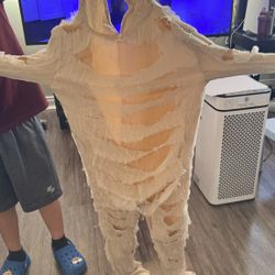 Mummy Costume 