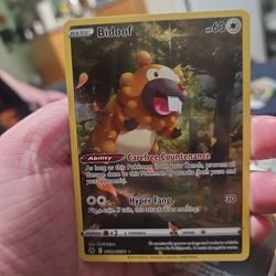 Bidoof pokemon