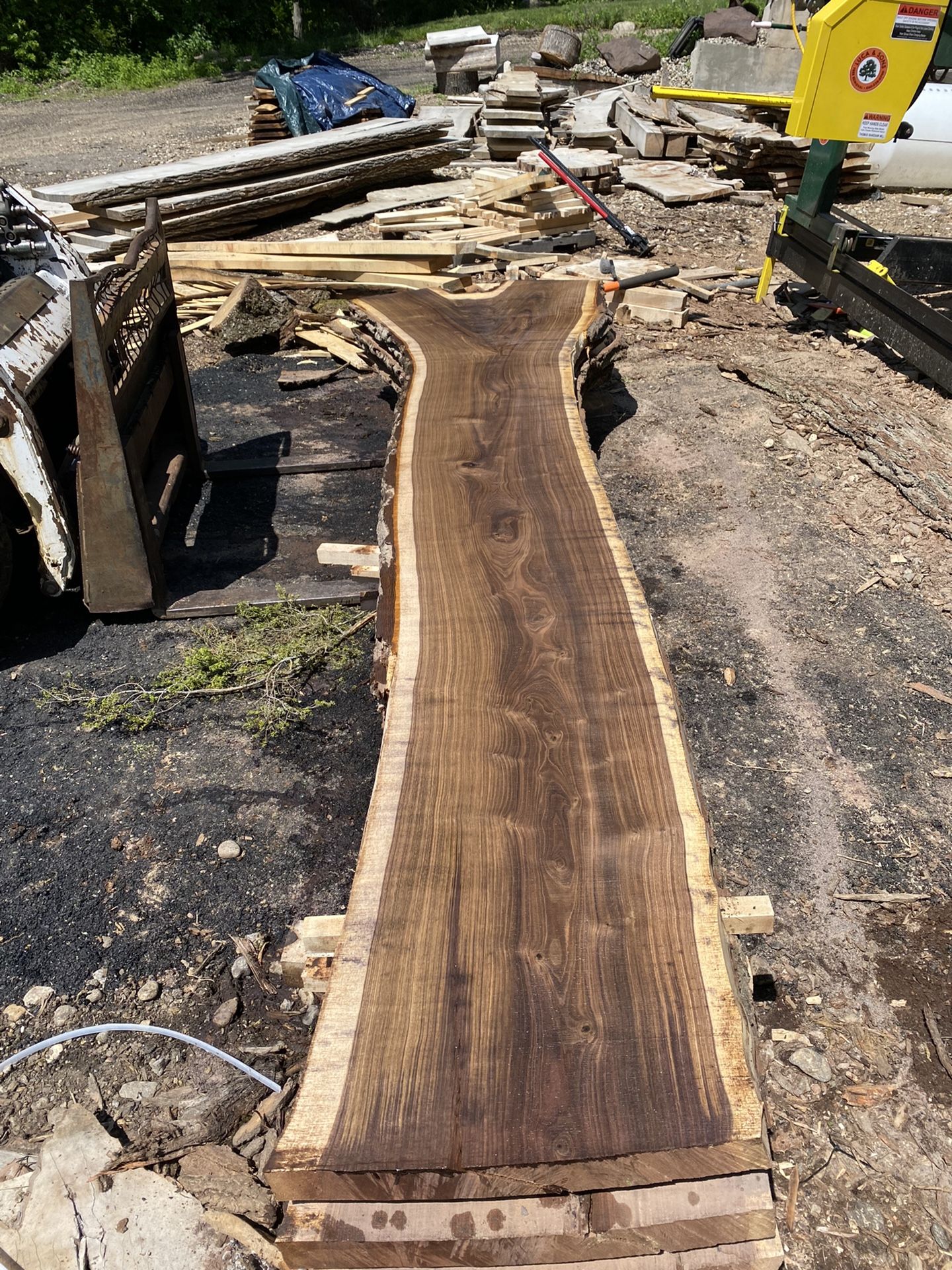 Black Walnut Live Edge Slabs 