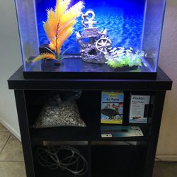 10 Gallon Glass Aquarium Fish Tank Setup