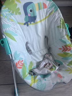 Baby Bouncer
