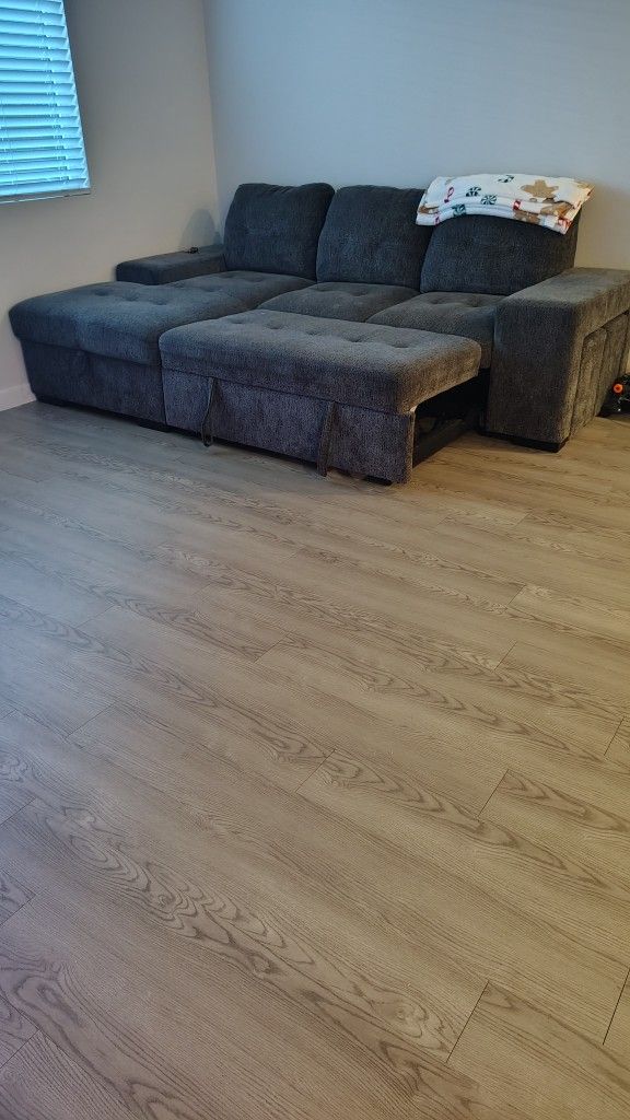 Reagan 2pc Sectional With Pull Out Bed