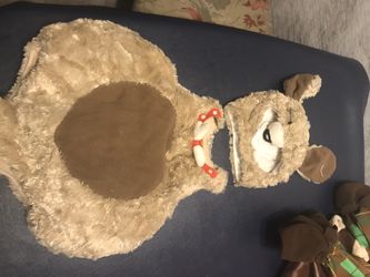 Dog costume size 2-3