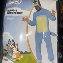 Bluey Halloween Costumes 