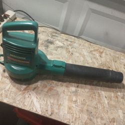 Weed Eater Leaf Blower Small but Strong Works Great