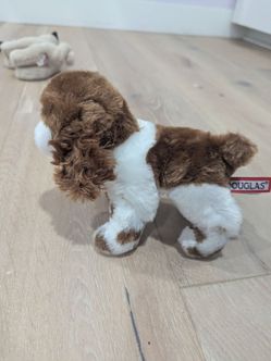 Douglas small springer spaniel