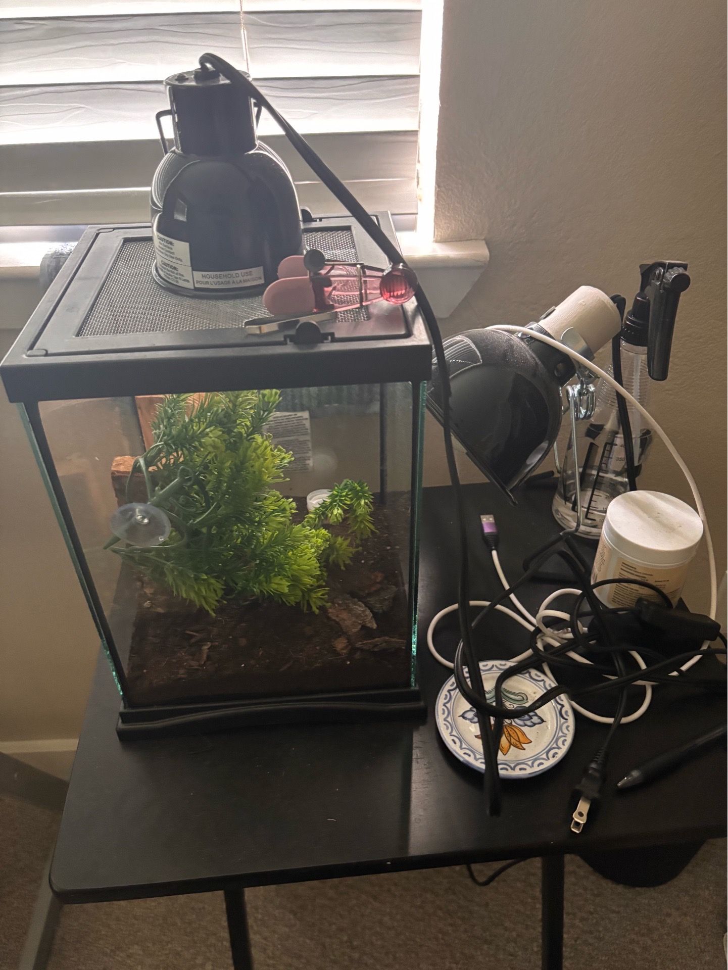 Reptile Enclosure/ Cage