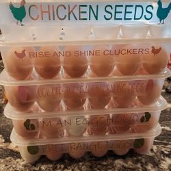 Egg Cartons 