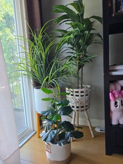 Three artificial plants