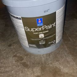 paint & primer 5gal