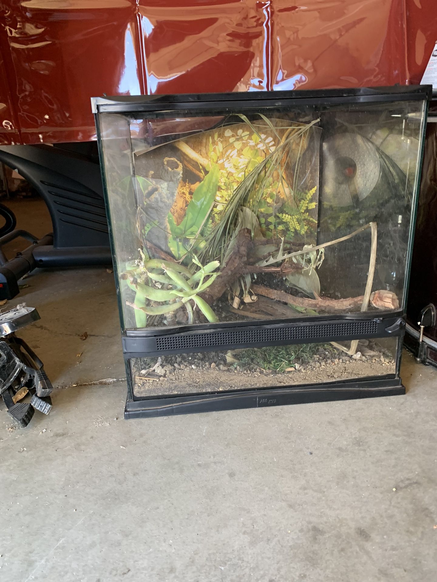 Amphibian Glass Habitat Terrarium 18x18x24