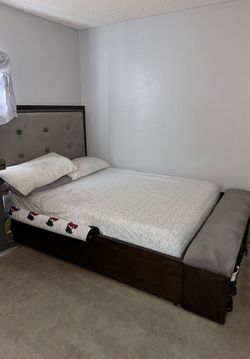 Queen Bed and Mattress
