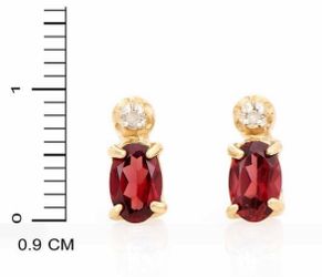 Diamond and Garnet Earrings
