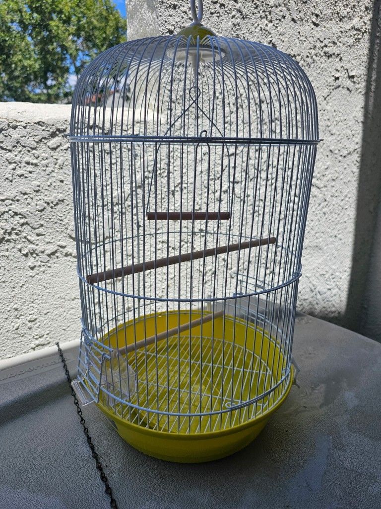 Bird Cage 