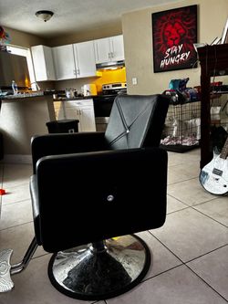 Salon Chair
