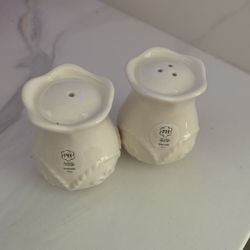 New Princess House Salt & Pepper Shaker