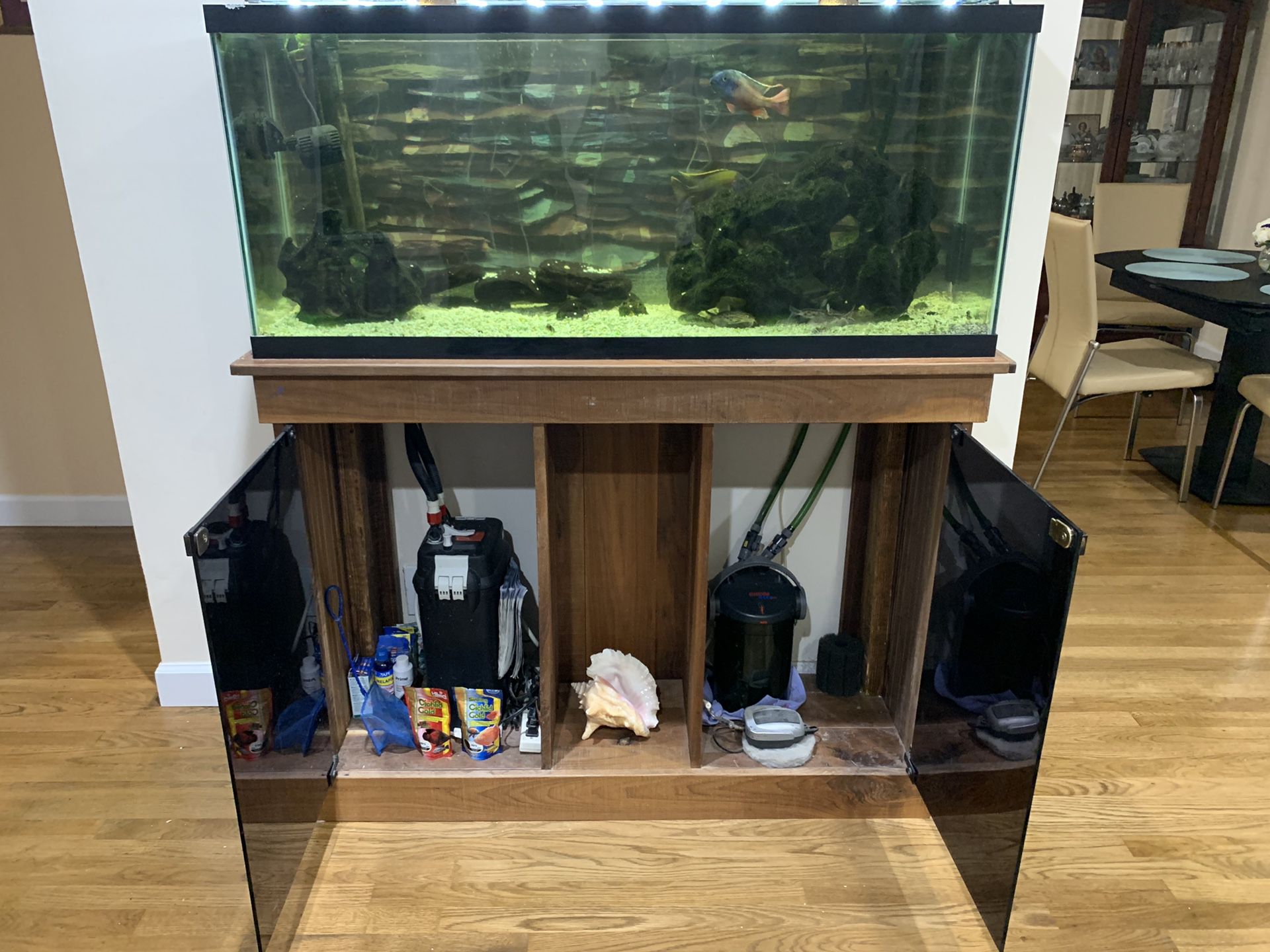 55 gallon fish tank with stand.