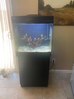 Red sea tank