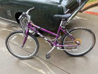 Vintage GT Palomar Mountain Bike - 90s Retro Purple - Project