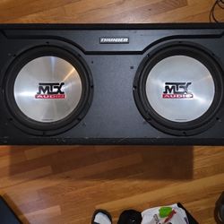 Thunder 4500 Dual Car Speaker Box W/ 20 INCH  speakers