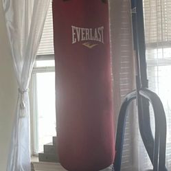 Everlast Boxing Bag 
