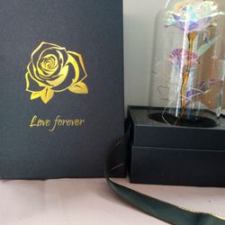 Glass Rose 🌹