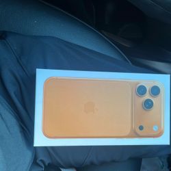 iPhone 17  Pro Max 1TB