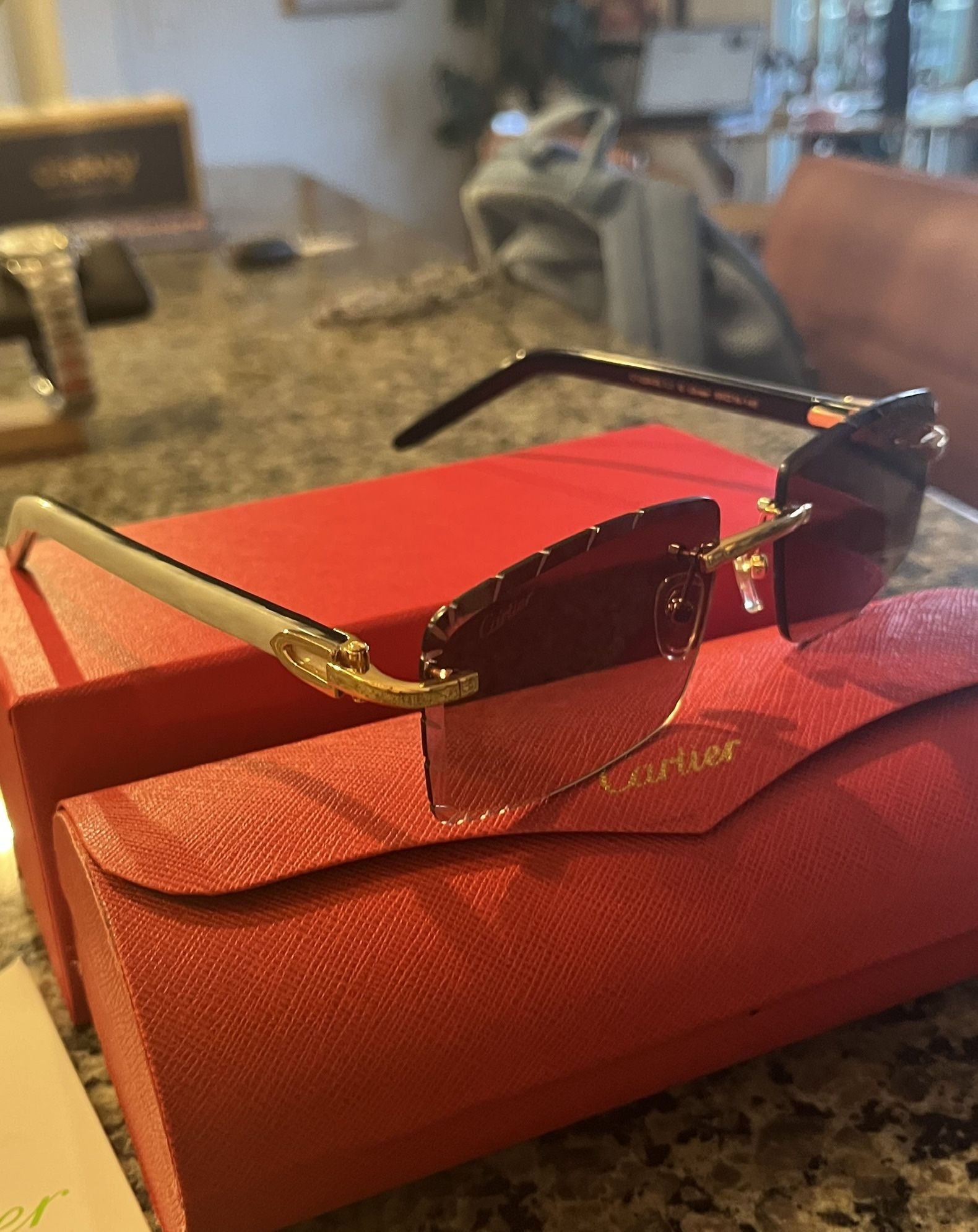 Men’s New Cartier Horn sunglasses