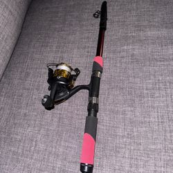 Foldable Pole And Reel