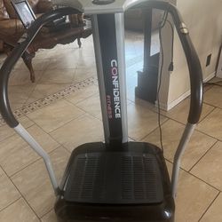 Whole Body Vibration Plate 