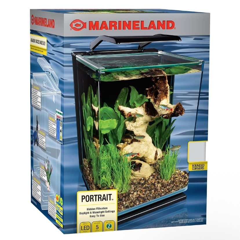 5 Gallon Fish Tank