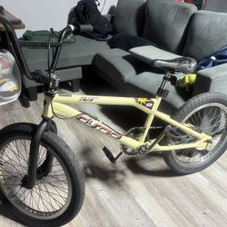 Dyno GT XR