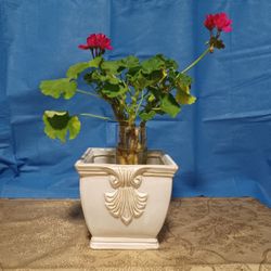 Ceramic Pot For Plants 