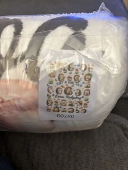 New sealed just a girl who loves hedgehogs blanket 60x80