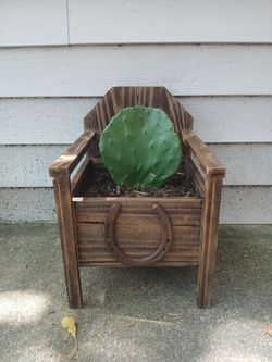 Rustic chair planter with cactus