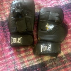 Everlast Gloves