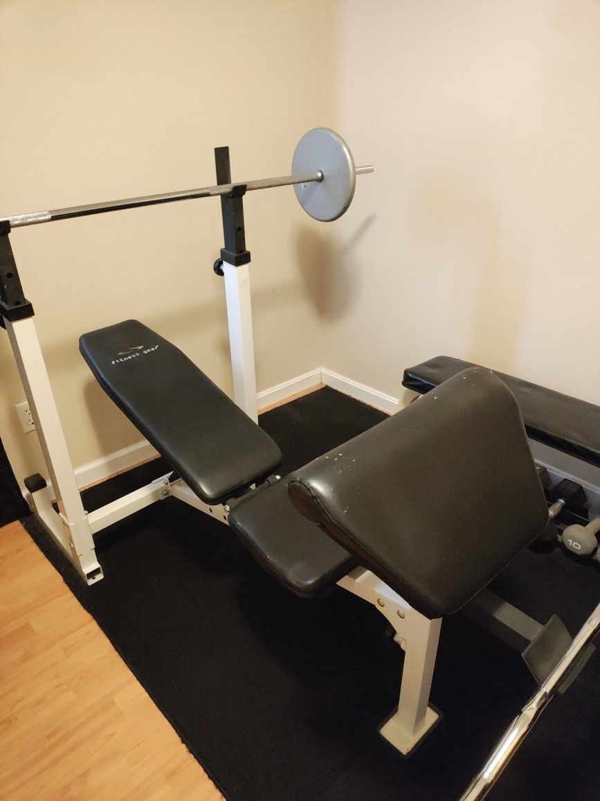 Weight Bench /Bench Seat And Dumbbells