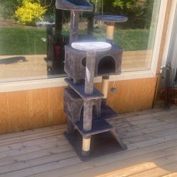 Cat Tree. 6 Months old. Grey