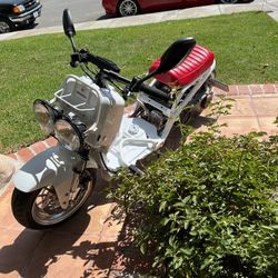 Honda Ruckus 
