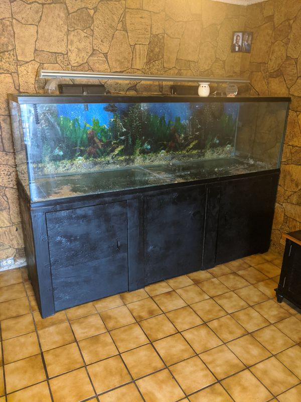 200 gallon fish aquarium for Sale in Los Angeles, CA OfferUp