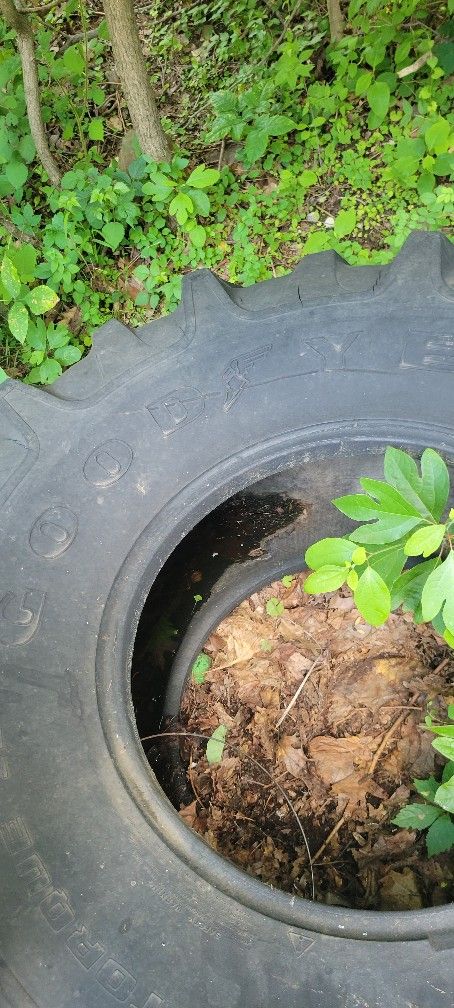 Crossfit Tire