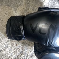Venum Boxing Gloves Thumbnail