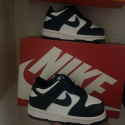 Baby Nike Dunks Size 5c