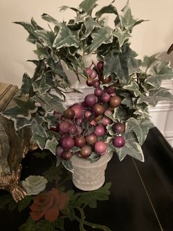Ivy Planter