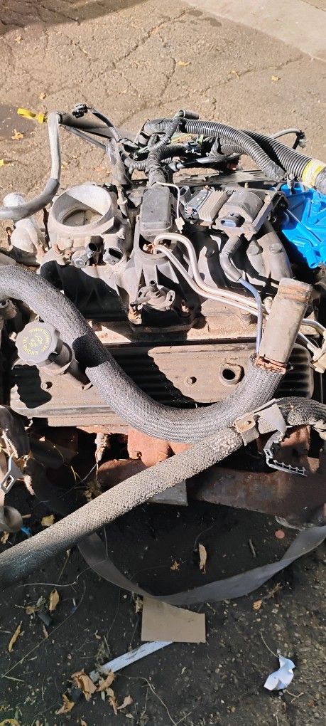 Motor