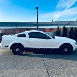 2008 Ford Mustang