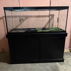 Fish Tank 100 Gallon 