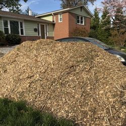 Wood chips FREE